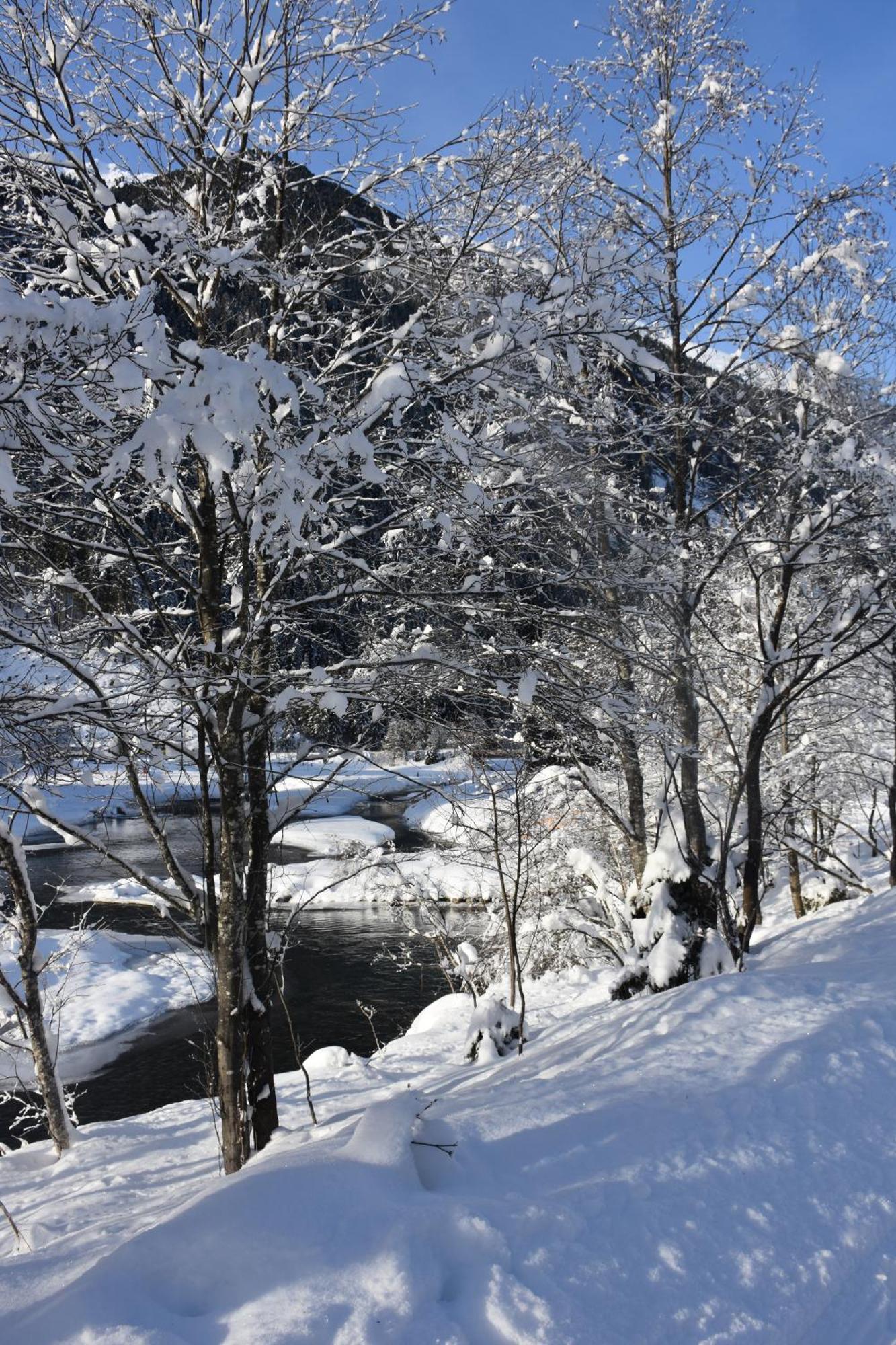 Apartmán Haus Marco Neustift im Stubaital Exteriér fotografie