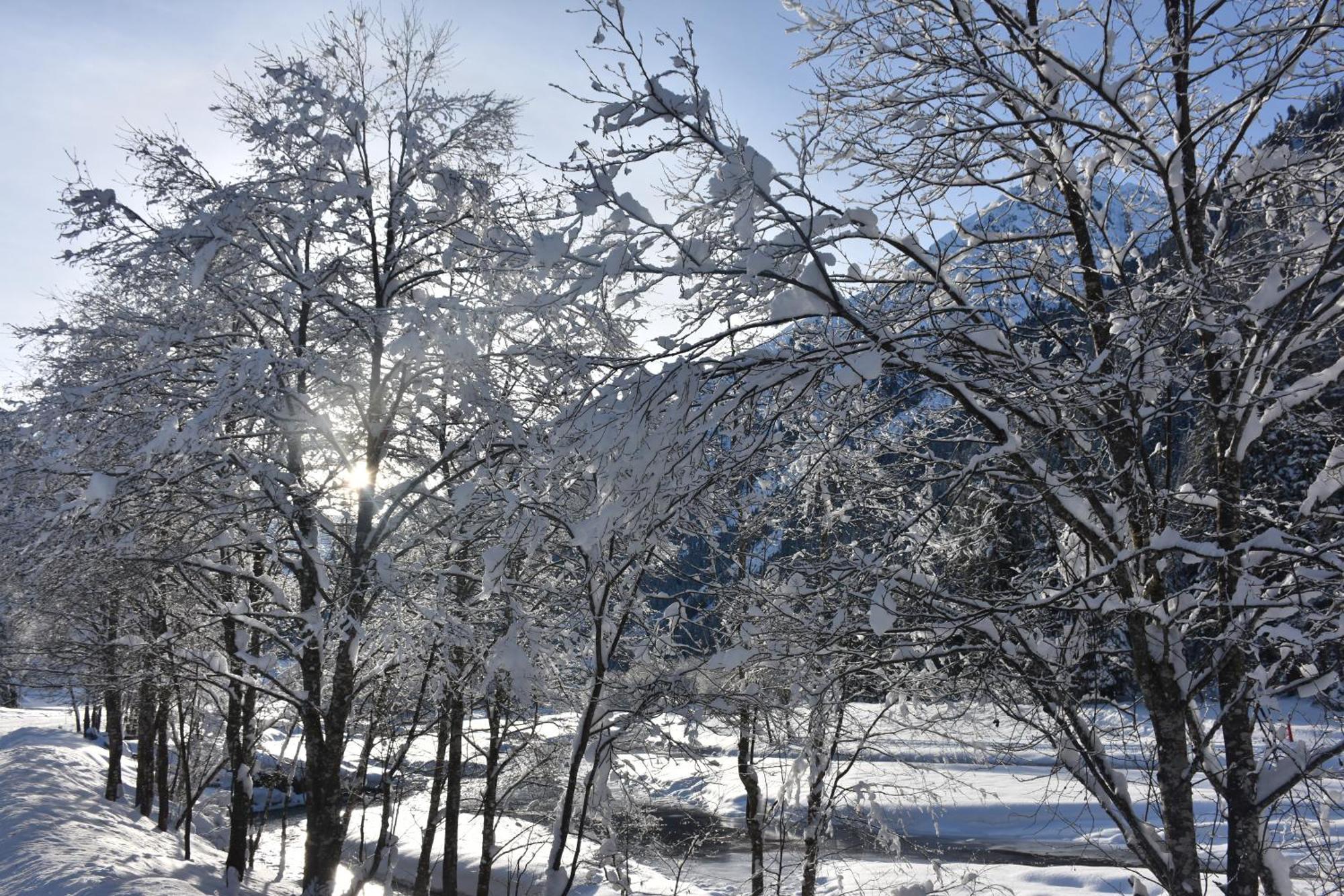 Apartmán Haus Marco Neustift im Stubaital Exteriér fotografie