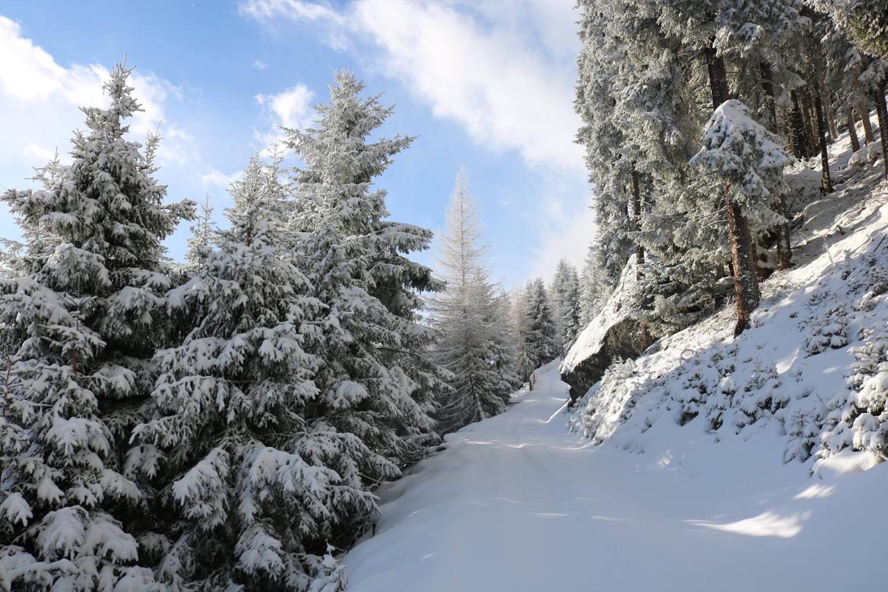 Apartmán Haus Marco Neustift im Stubaital Exteriér fotografie