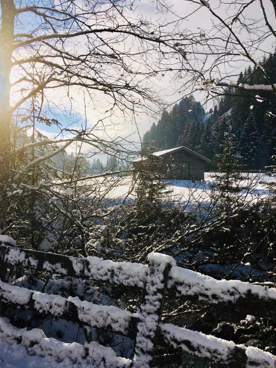 Apartmán Haus Marco Neustift im Stubaital Exteriér fotografie