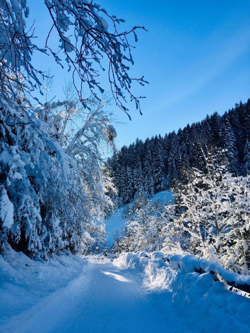 Apartmán Haus Marco Neustift im Stubaital Exteriér fotografie