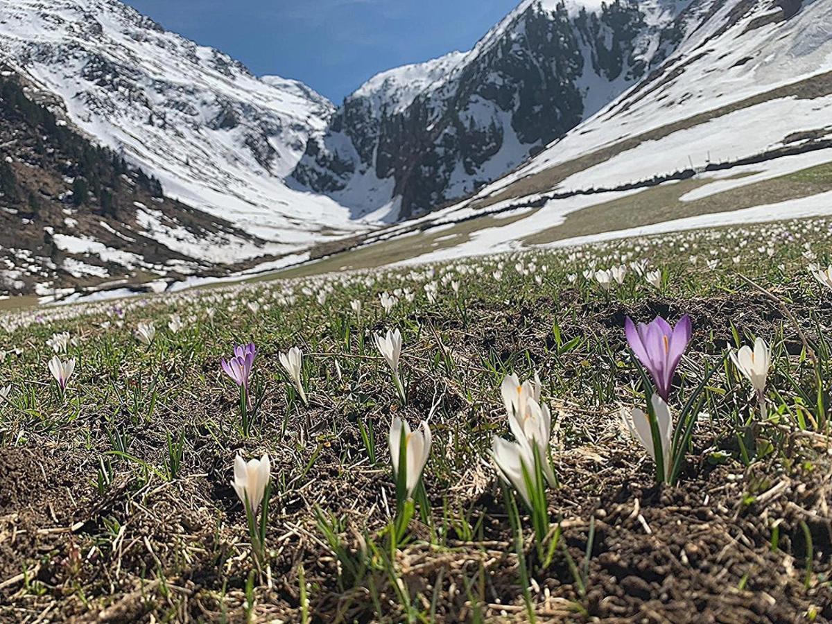 Apartmán Haus Marco Neustift im Stubaital Exteriér fotografie